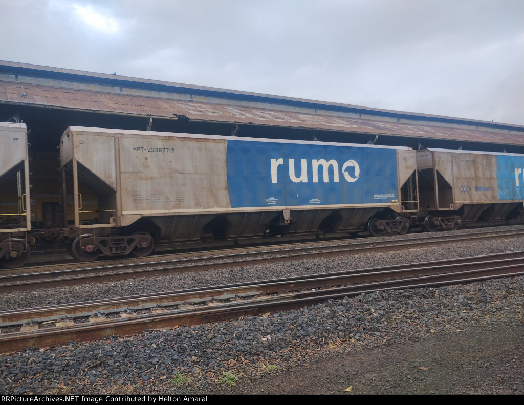 RUMO HPT-033677-7